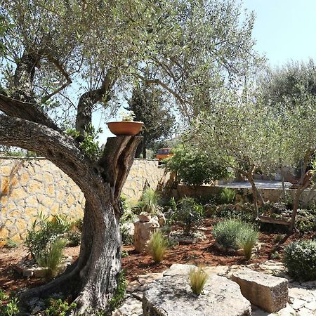 Appartamento Pere Korčula Esterno foto
