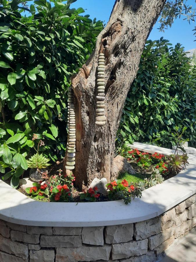 Appartamento Pere Korčula Esterno foto
