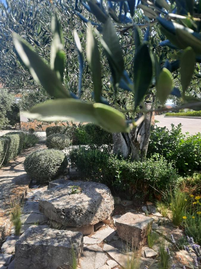 Appartamento Pere Korčula Esterno foto