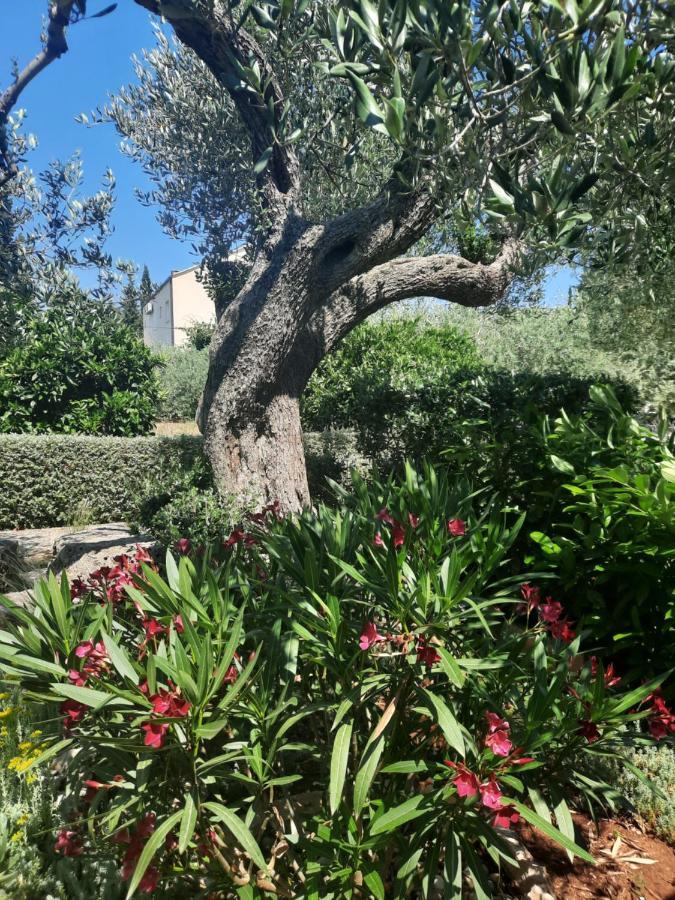 Appartamento Pere Korčula Esterno foto